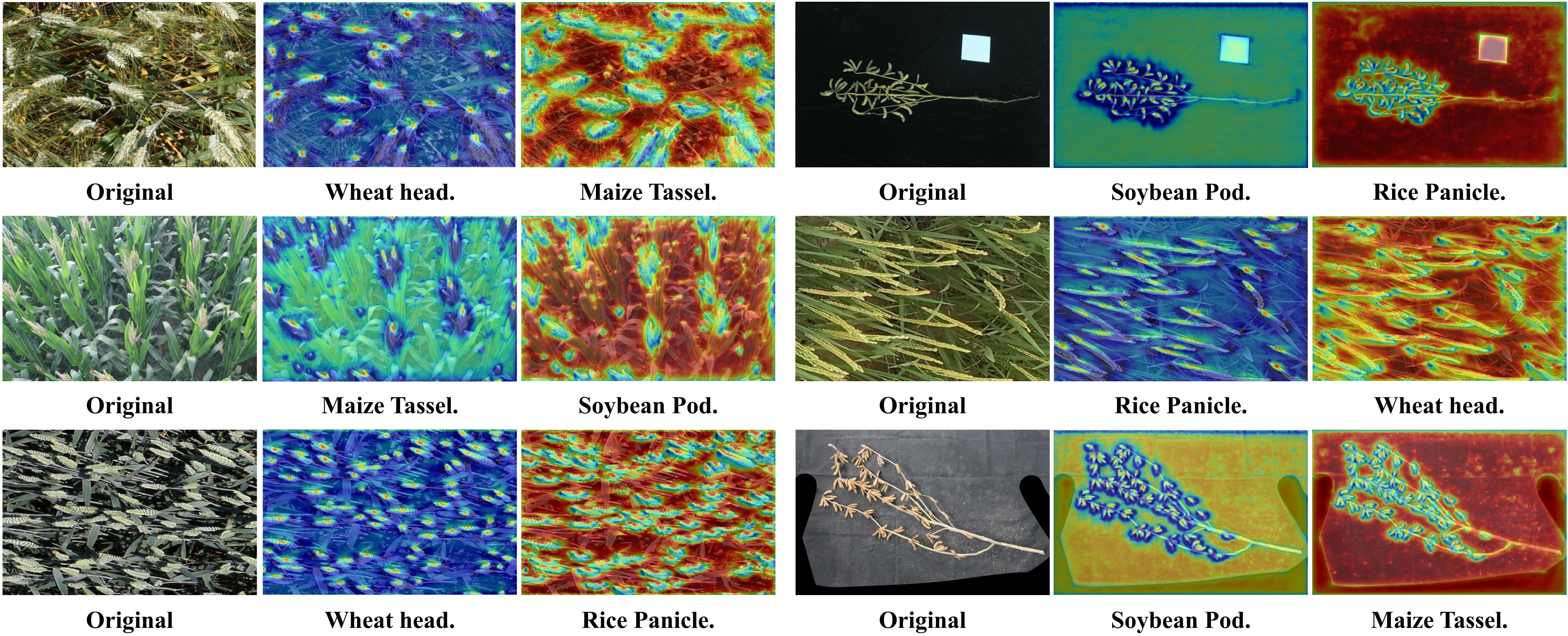Qualitative assessment of SGCM